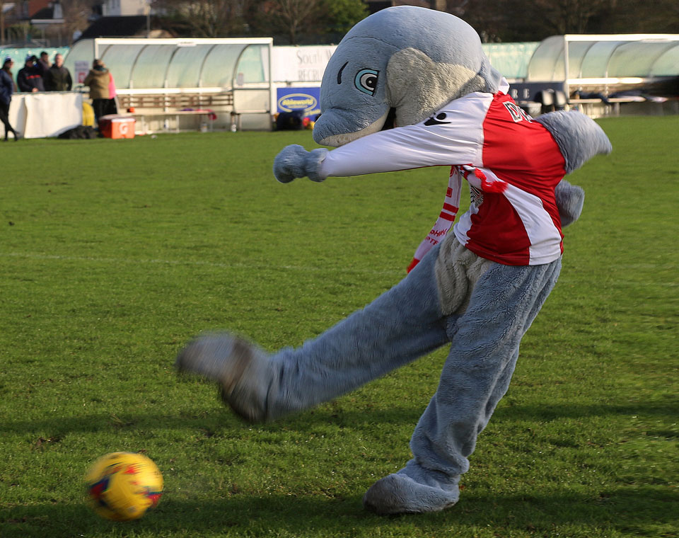 Dylan the Dolphin wins the penalty shoot out